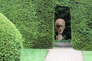 face head hedge open garden sequoia redwood biddestone manor
